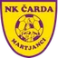Team logo