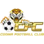 Team logo