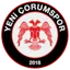Team logo