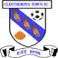 Team logo
