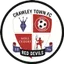 Team logo