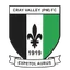 Team logo