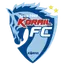 Team logo