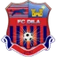 Team logo