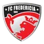 Team logo