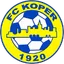 Team logo