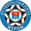 Team logo