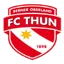 Team logo