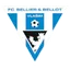 Team logo