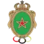Team logo