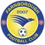 Team logo