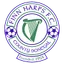 Team logo