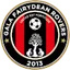 Team logo
