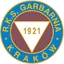 Team logo
