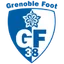 Team logo