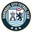 Team logo