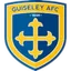 Team logo