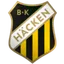 Team logo