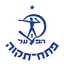 Team logo