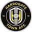 Team logo