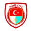 Team logo
