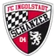 Team logo