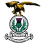 Team logo