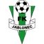 Team logo