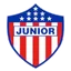 Team logo