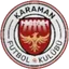 Team logo