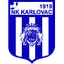 Team logo