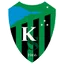 Team logo