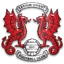 Team logo