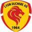 Team logo