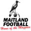 Team logo