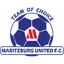 Team logo