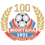 Team logo