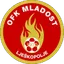 Team logo