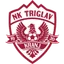 Team logo