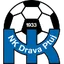 Team logo