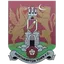 Team logo