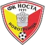 Team logo