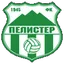 Team logo