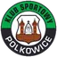 Team logo