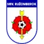 Team logo