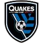Team logo