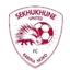 Team logo