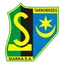 Team logo