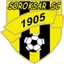 Team logo
