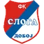 Team logo